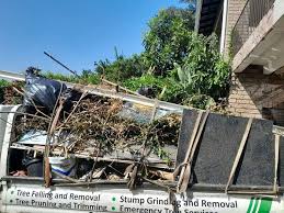 Trusted South Run, VA Junk Removal Services Experts